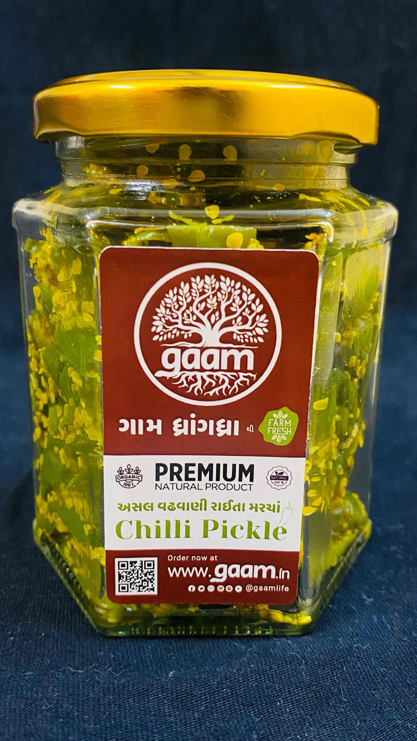 Vadhvani Chilli Pickle - Organic Raita Marcha